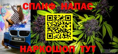 PSILOCYBIN Будённовск
