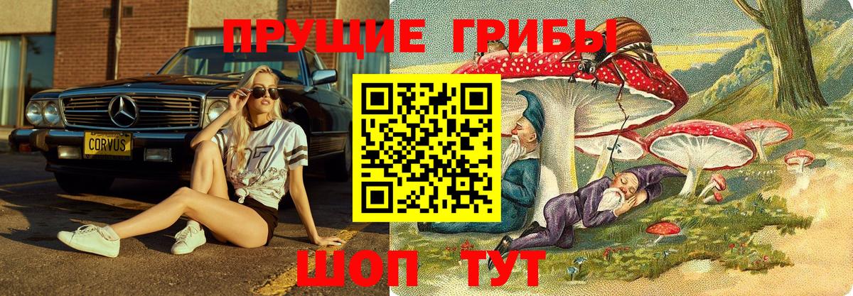 Псилоцибиновые грибы GOLDEN TEACHER Похвистнево