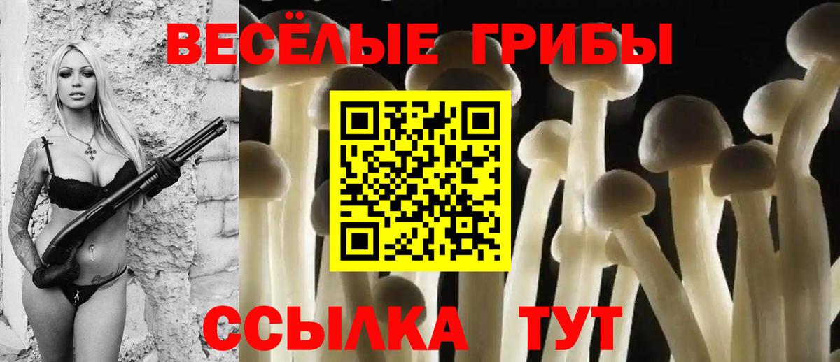 Похвистнево  Галлюциногенные грибы Psilocybe  Вход с VPN 
